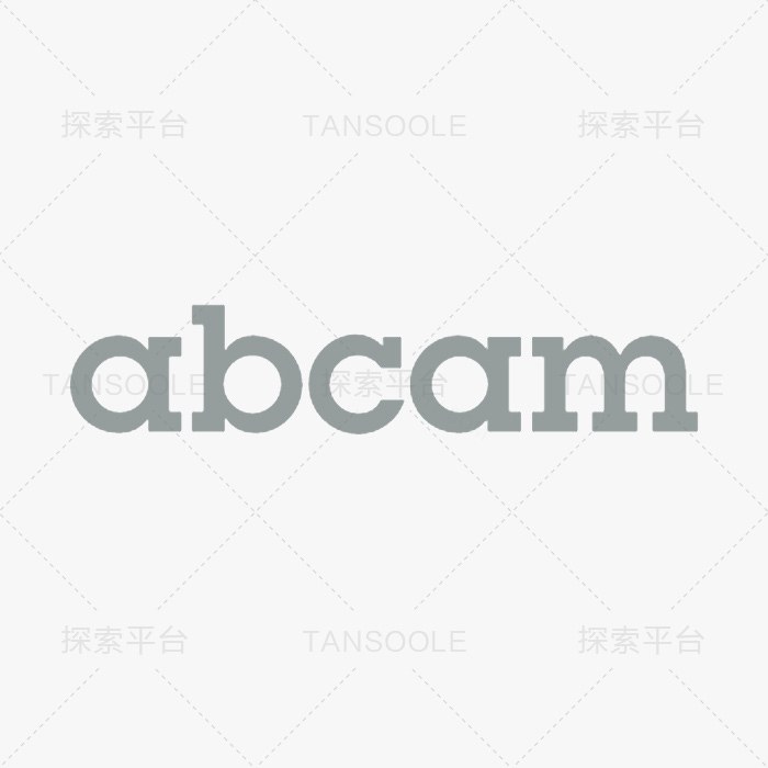 Anti-ZO1 tight junction protein 抗体 [EPR19945-296] - Abcam