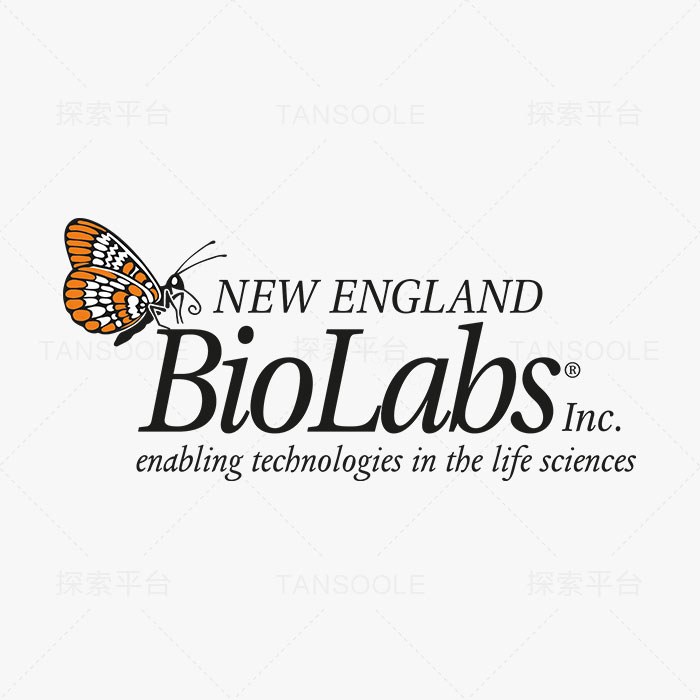NEBNext Ultra II FS DNA 文库制备试剂盒 - 含片段化酶