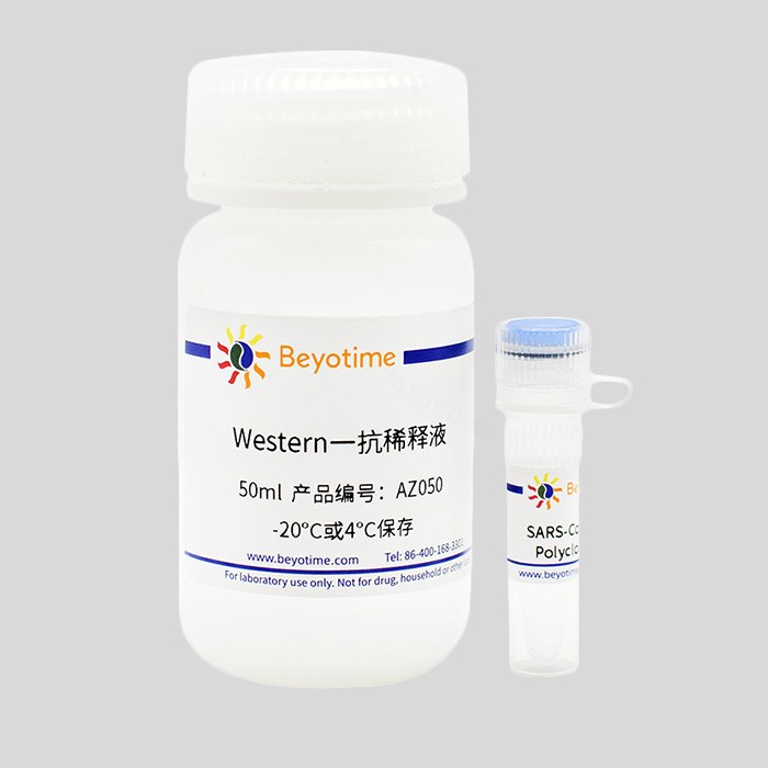 SARS-CoV-2 N Protein Polyclonal Antibody抗体
