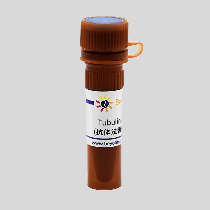 Tubulin-Tracker Green (抗体法微管绿色荧光探针) - 碧云天/Beyotime