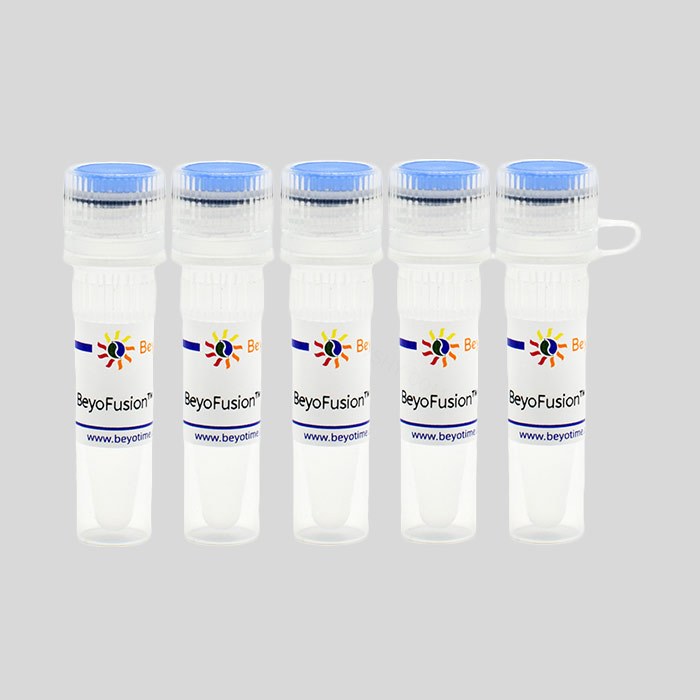 BeyoFusion PCR Master Mix (2X) - Beyotime/碧云天
