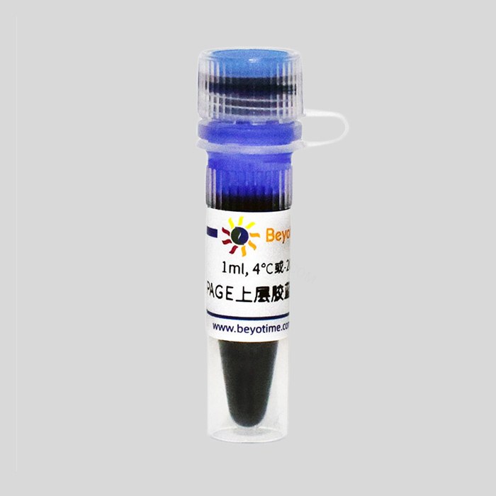PAGE上层胶蓝色染料(500X)