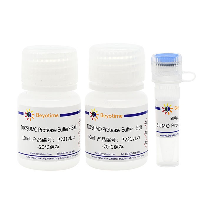 SUMO Protease - Beyotime/碧云天