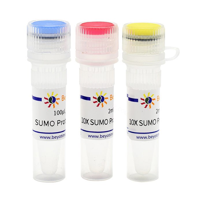 SUMO Protease - Beyotime/碧云天