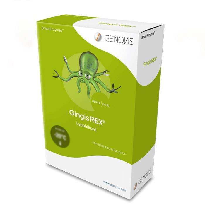 酶 GingisREX Lyophilized 5 ug
