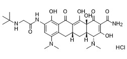 4-替加环素差向异构体盐酸盐