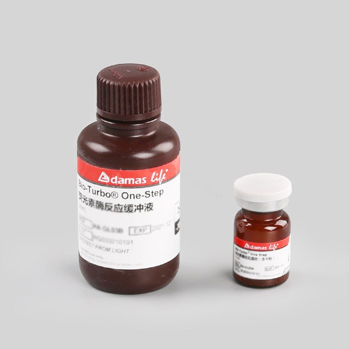 Steady-Lumo One-Step萤火虫荧光素酶分析试剂盒