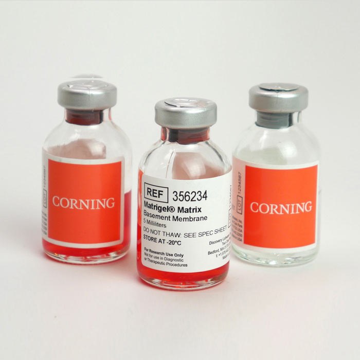Corning Matrigel 基质胶，标准型，生长因子减量(GFR)，含酚红(354230)