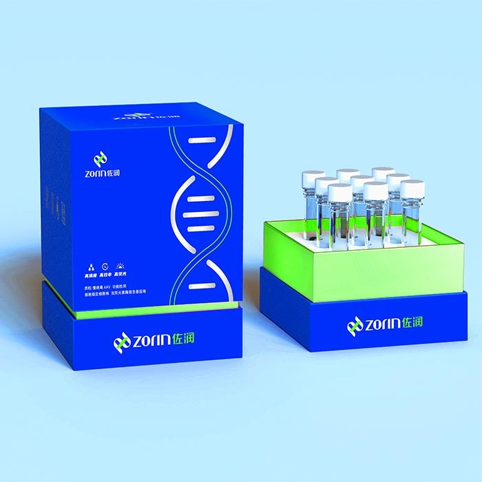 基因模板/质粒ENDOD1;BC071171,BC071171.1,BQ067491,BQ067491.1 - Zorin/佐润