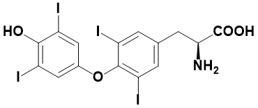 L-甲状腺素 - Adamas