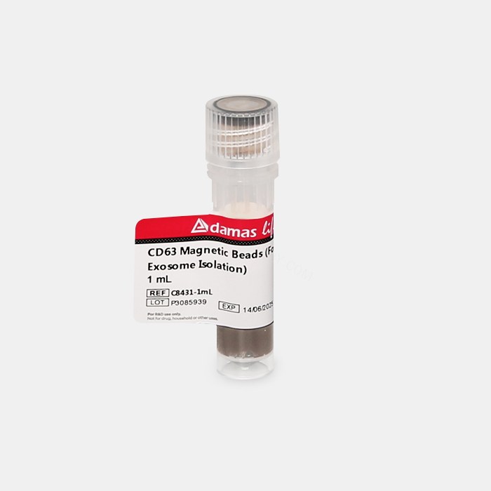外泌体CD63 分选磁珠