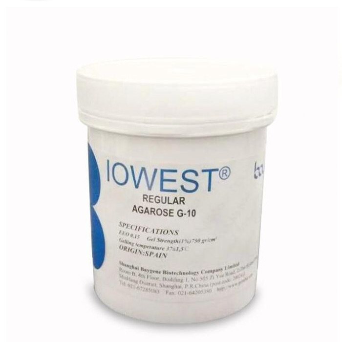 Regular Agarose G-10琼脂糖