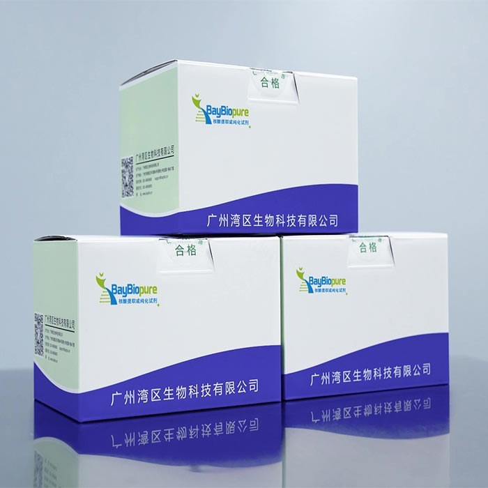 BayBiopure磁珠法琼脂糖凝胶DNA回收试剂盒