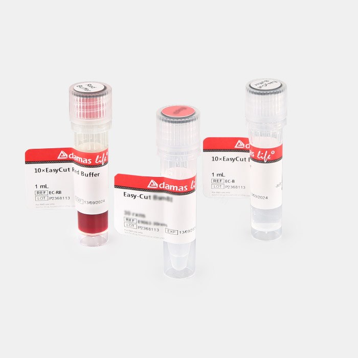 Easy-Cut内切酶 RsaI