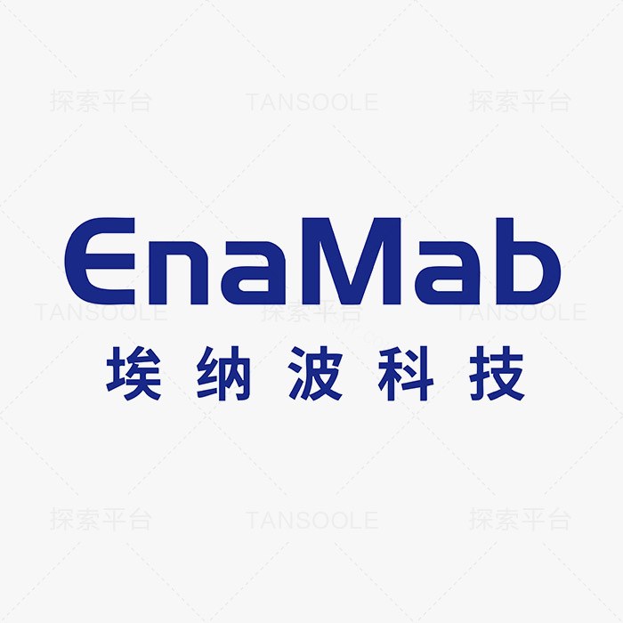 Derp3试剂