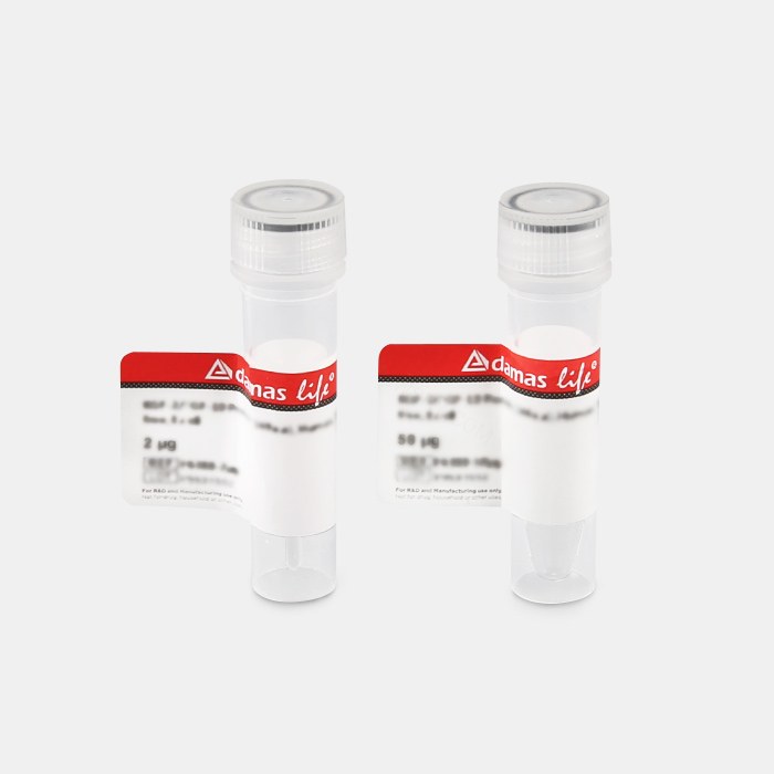 重组蛋白 Human Membrane cofactor protein(CD46),partial - SAB/信裕生物