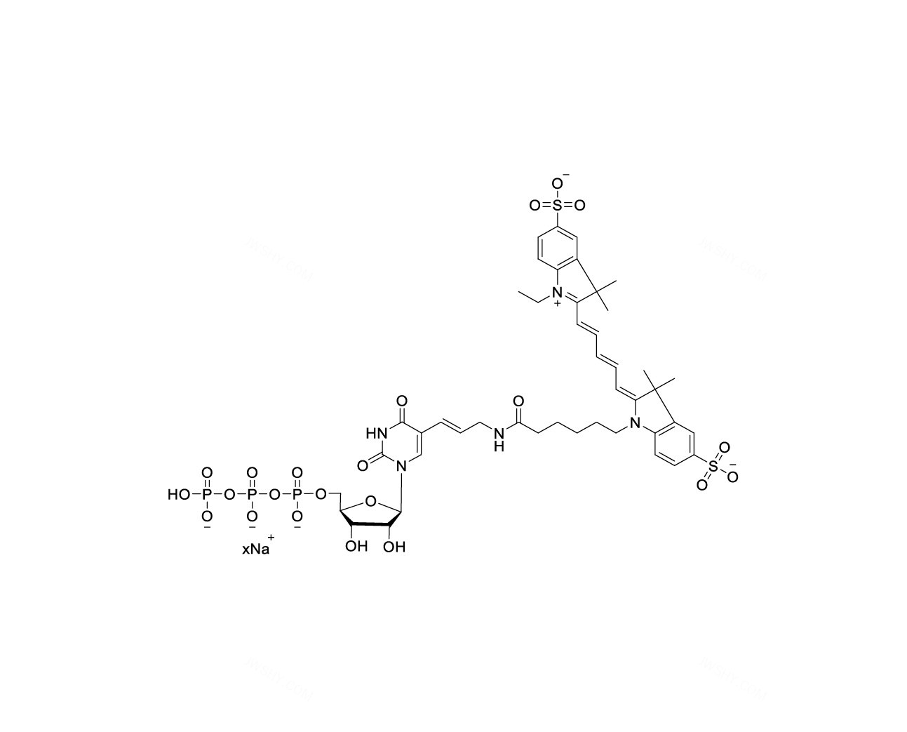 Cy5-UTP 10mM Sodium 溶液