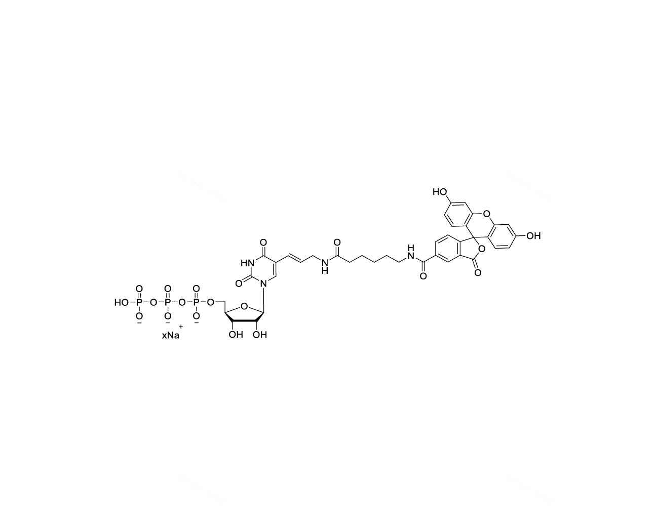 Fluorescein-12-UTP 10mM Sodium 溶液