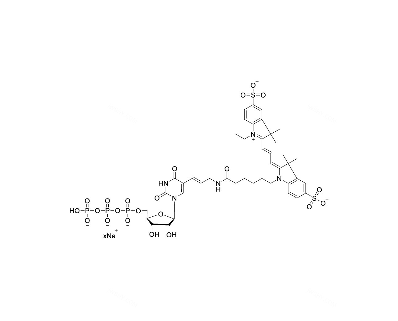 Cy3-UTP 10mM Sodium 溶液