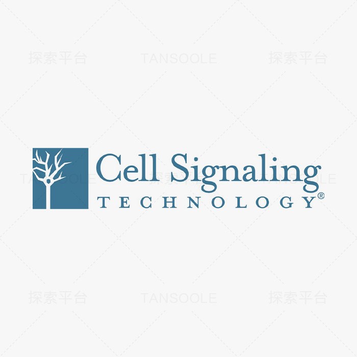 抗体对CD38 (E7Z8C) &amp; CO-0127-594 SignalStar Oligo-Antibody …
