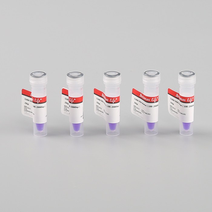 DNA分子量标准 D2000 DNA Marker(100-2000bp) - Adamas life