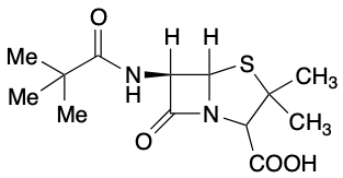 药物标准品Ampicillin t-Butyl-demethylbenzenemethanamine - TRC