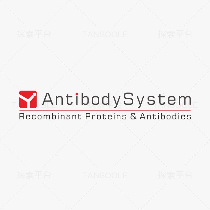 流式抗体Anti-Human CD266/TNFRSF12A Antibody (SAA1487), FITC - AntibodySystem