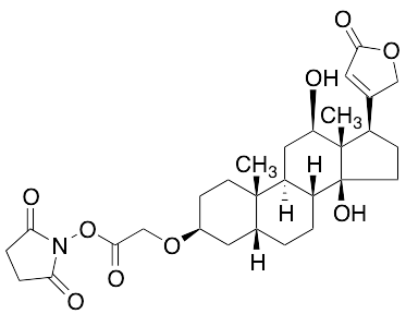 药物标准品(3&beta;,5&beta;,12&beta;)-3-[2-[(2,5-Dioxo-1-pyrrolidinyl)oxy]-2-oxoethoxy]-12,14-dihydroxy-ca… - TRC