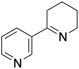 药物标准品Anabaseine - TRC