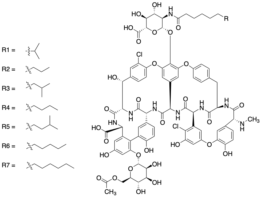 药物标准品Antibiotic A 40926 (Mixture) - TRC