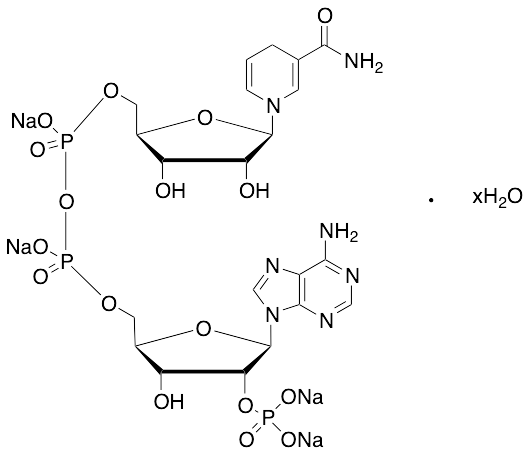 药物标准品&beta;-NADPH Tetrasodium Salt Hydrate - TRC