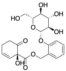 药物标准品Salicortin - TRC