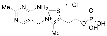 药物标准品Vitamin B1 Monophosphate Chloride - TRC