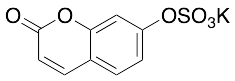 药物标准品7-Hydroxy Coumarin Sulfate Potassium Salt - TRC