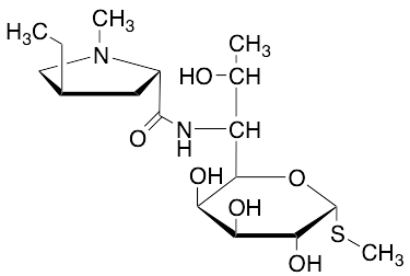 药物标准品Lincomycin B - TRC