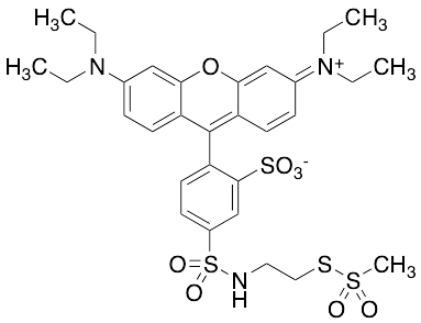 药物标准品Sulfo Rhodamine Methanethiosulfonate - TRC