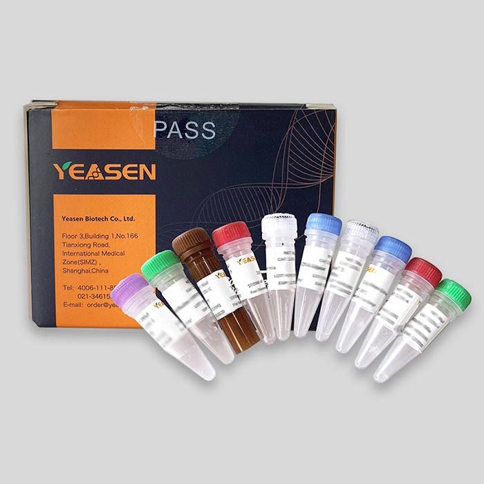 Bovine Serum Albumin(BSA),&nbsp;Protease Free牛血清白蛋白，无蛋白酶