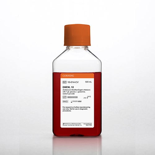 DMEM，[+] 1 g/L 葡萄糖，L-谷氨酰胺，丙酮酸钠，酚红