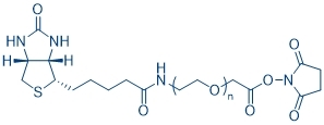 生物素聚乙二醇琥珀酰亚胺羧甲基酯 - Adamas life