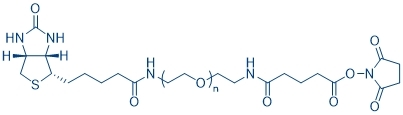 生物素聚乙二醇琥珀酰亚胺基戊二酰胺 - Adamas life