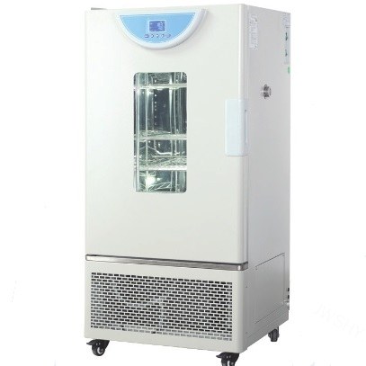 霉菌培养箱 70L 0～60℃ 液晶多段可编程（仅限科研用途）