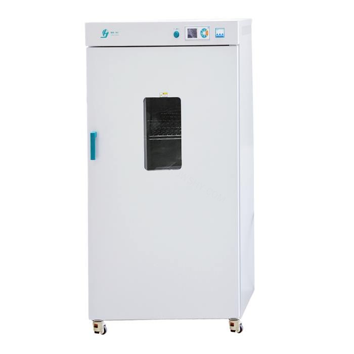 电热恒温鼓风干燥箱 429L RT+10～200℃ 垂直对流