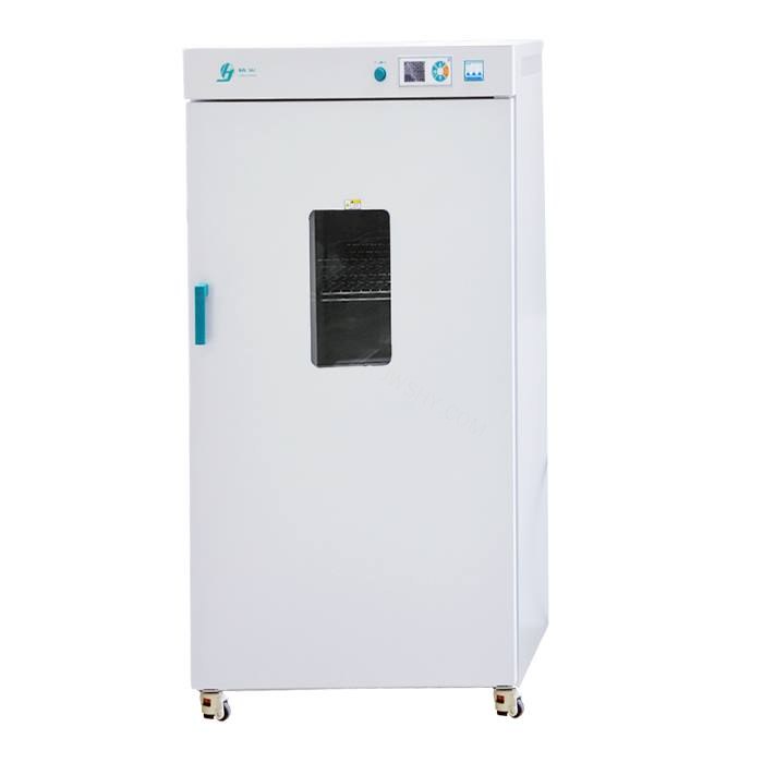 电热恒温鼓风干燥箱 429L RT+10～300℃ 垂直对流
