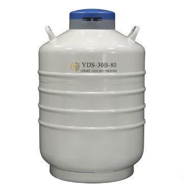 运输型液氮生物容器 31.5L，口径80mm （不含蓝色锁盖） - 金凤