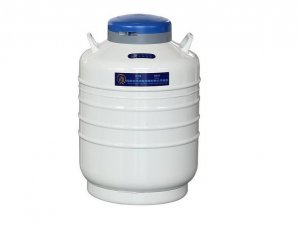运输型液氮生物容器 100L，口径200mm （不含蓝色锁盖） - 金凤