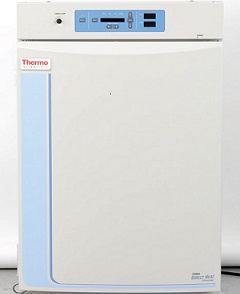 直热式二氧化碳培养箱 184L 5～50℃ （仅限科研用途）