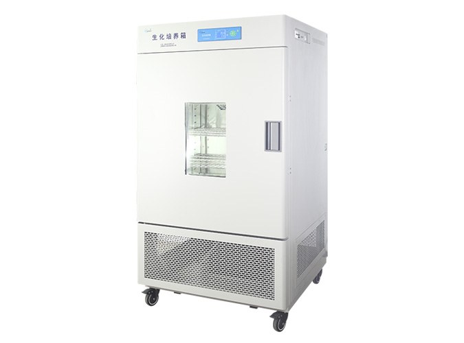 霉菌培养箱 500L 0～60℃（仅限科研用途） - 一恒
