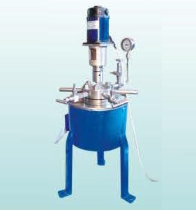 反应釜 2L 304不锈钢 （管制品）
