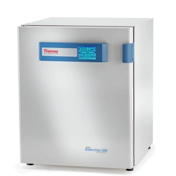 二氧化碳培养箱 184L 5～50℃ （仅限科研用途）
