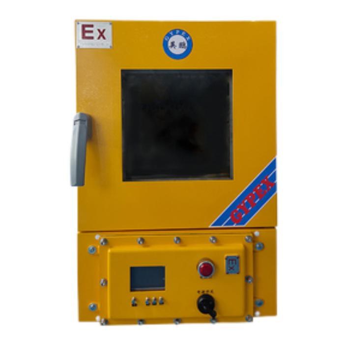 防爆烘箱-立式恒温鼓风 RT+10～250℃ 30L